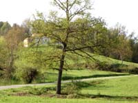 Anello San Paolo-Monasterol...